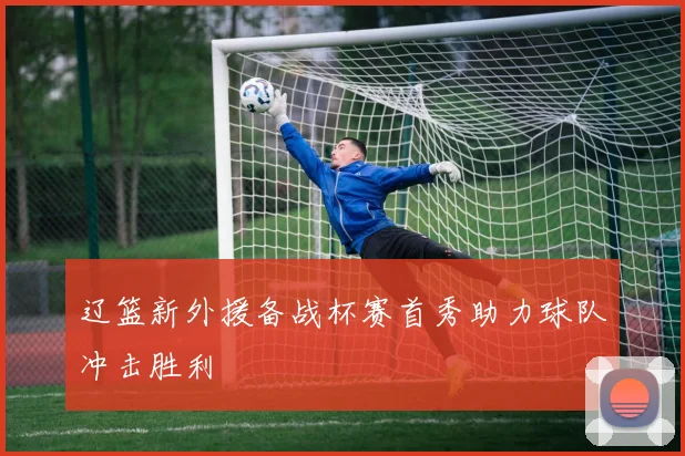 辽篮新外援备战杯赛首秀助力球队冲击胜利