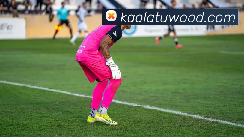 投注app官网品牌故事